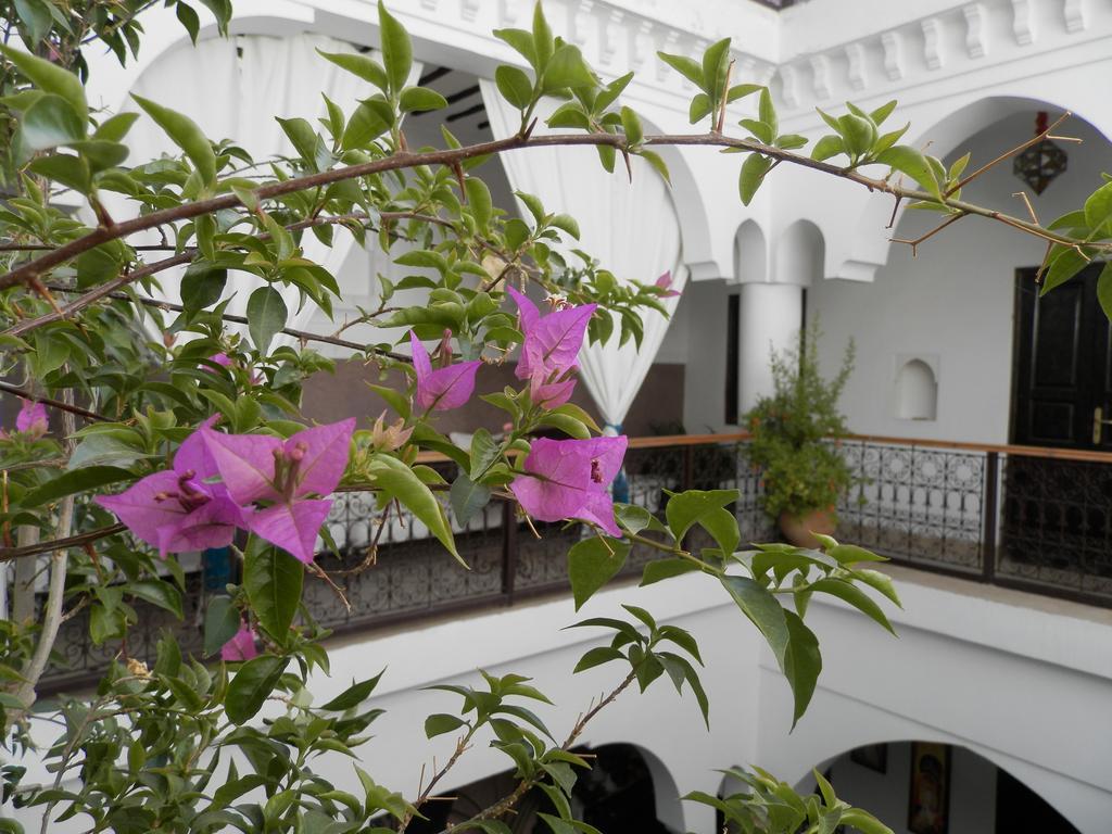Riad Ailen Marrakesch Exterior foto